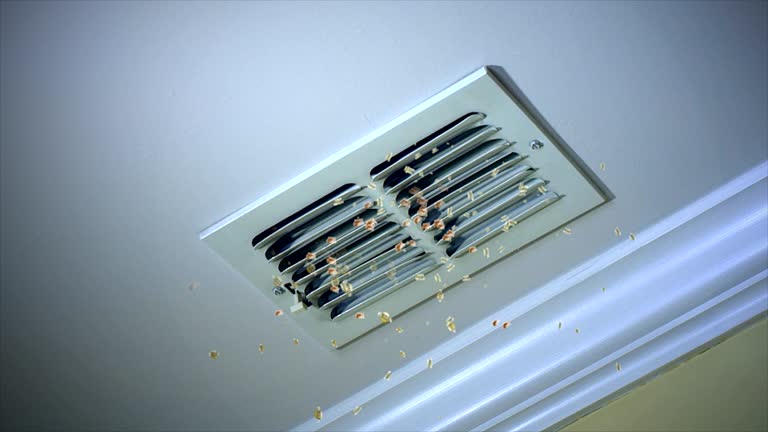 Best Affordable Air Duct Cleaning  in Shepherd, MI