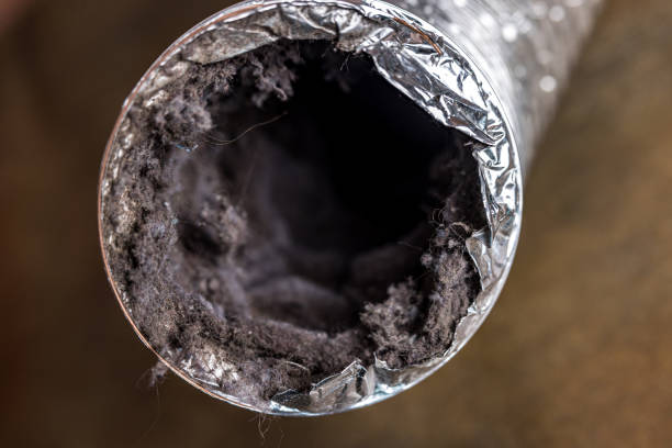 Best Affordable Duct Cleaning Services  in Shepherd, MI