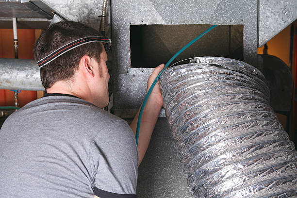 Best Local Air Duct Cleaning Services  in Shepherd, MI