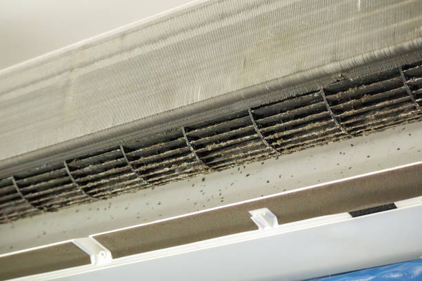 Best HVAC Duct Inspection Services  in Shepherd, MI