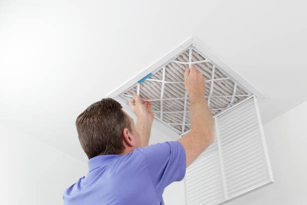 Best Air Duct Cleaning Near Me  in Shepherd, MI